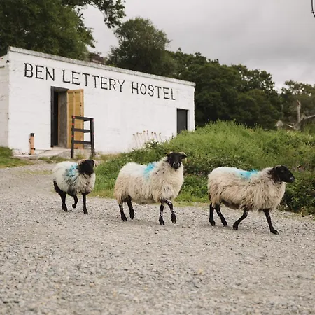 Ben Lettery Hostel-3
